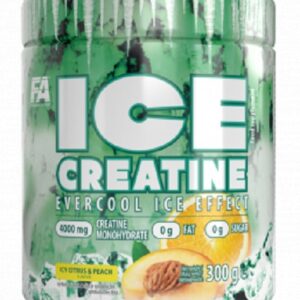 FA Nutrition ICE Creatine 300g